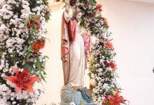 Oitavo Dia da Novena do Sagrado Coração de Jesus 2020