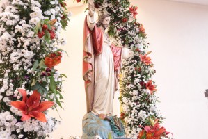 Oitavo Dia da Novena do Sagrado Coração de Jesus 2020