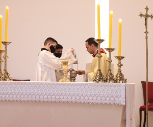Sétimo Dia da Novena do Sagrado Coração de Jesus 2020