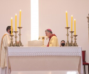 Oitavo Dia da Novena do Sagrado Coração de Jesus 2020