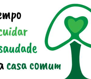 CNBB CONVIDA BRASILEIROS A PLANTAREM UMA ÁRVORE NO DIA DE FINADOS EM MEMÓRIA DOS QUE SE FORAM